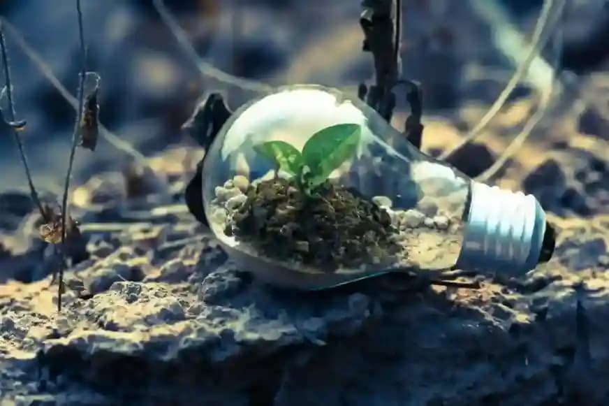 Sustainability & Environment