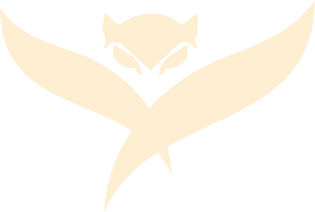 HackJKLU Owl